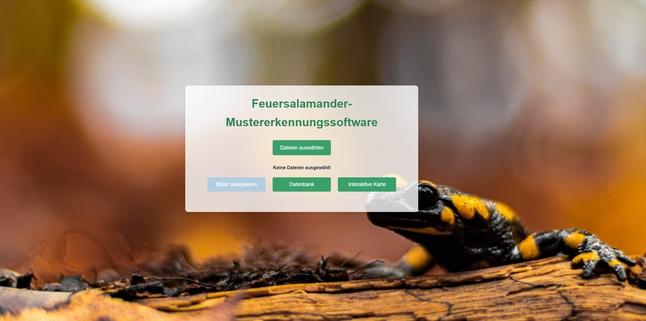 Salamander-Habiatkarte unterstützt mit Künstliche Intelligenz