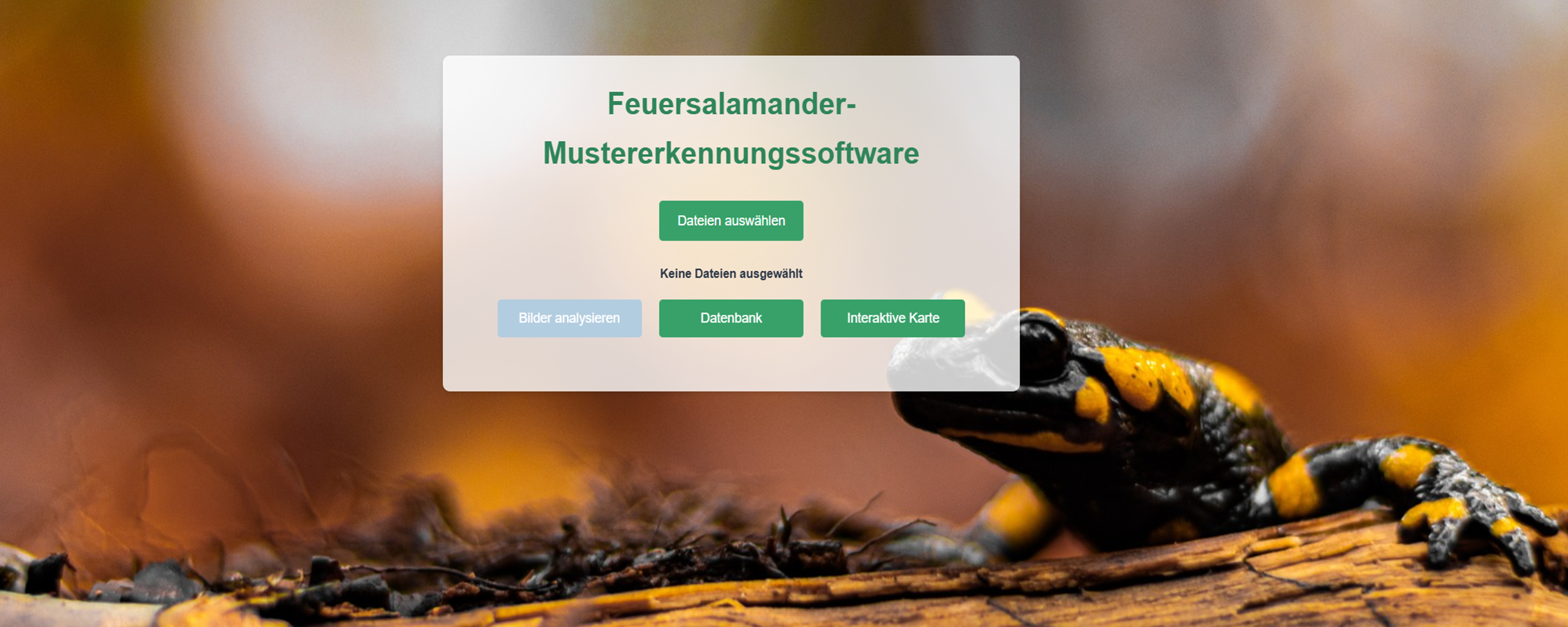 Salamander-KI-Mustererkennungssoftware